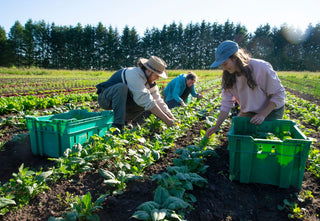 How Nutrition Supports Longevity – and How Pow Food At Home Can Help You Thrive for Life