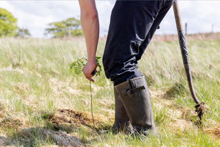 Partnering with The Future Forest Company: Real Action for a Healthier Planet